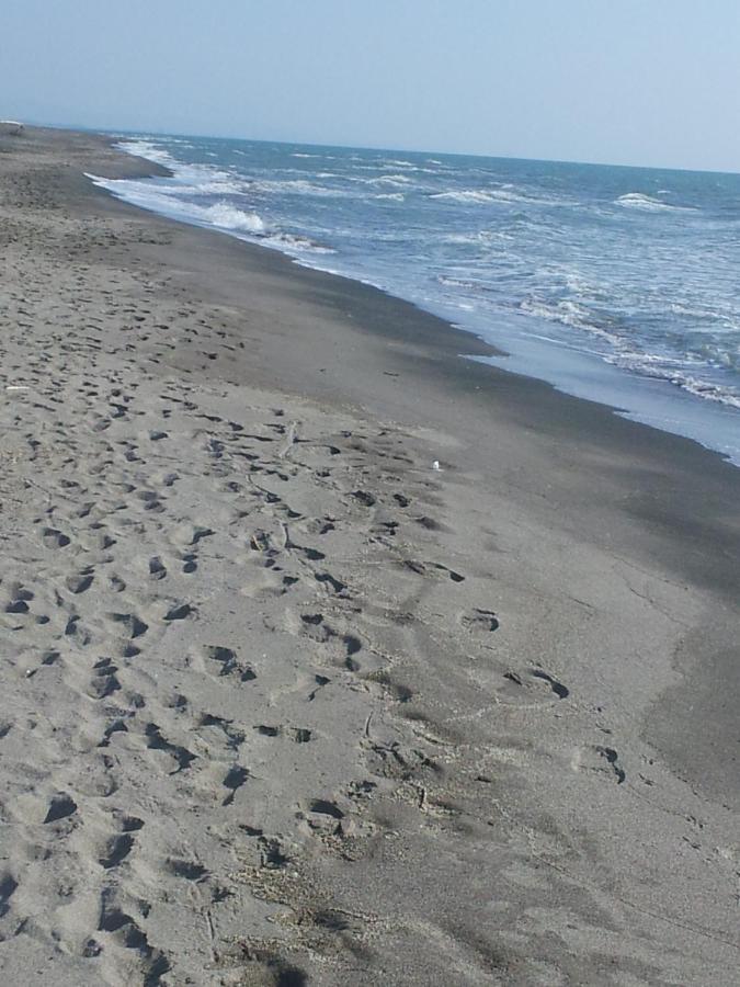 מונטאלטו די קסטרו Ccc Holiday Properties Le Vele Ccc מראה חיצוני תמונה