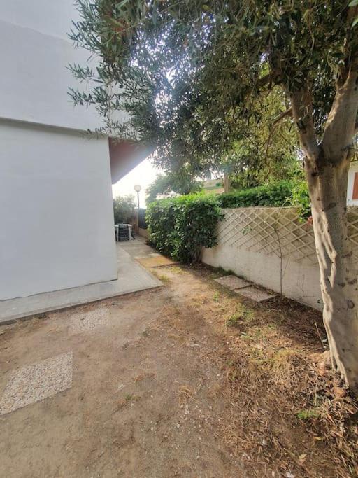 מונטאלטו די קסטרו Ccc Holiday Properties Le Vele Ccc מראה חיצוני תמונה