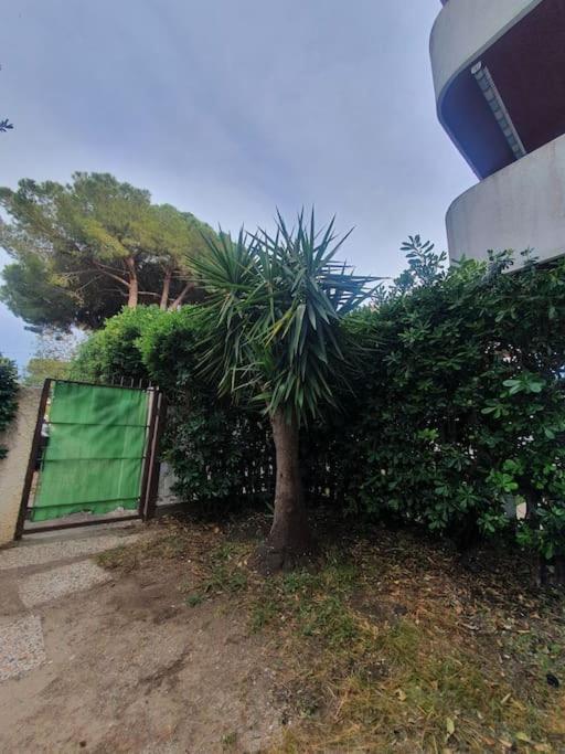 מונטאלטו די קסטרו Ccc Holiday Properties Le Vele Ccc מראה חיצוני תמונה