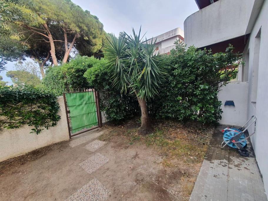 מונטאלטו די קסטרו Ccc Holiday Properties Le Vele Ccc מראה חיצוני תמונה