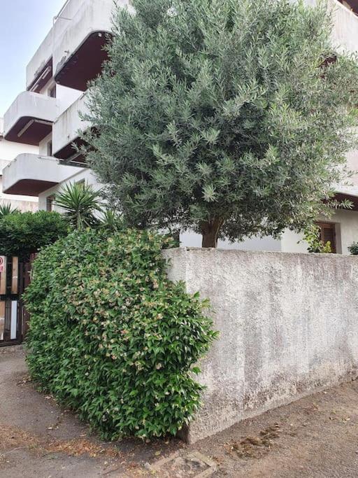 מונטאלטו די קסטרו Ccc Holiday Properties Le Vele Ccc מראה חיצוני תמונה