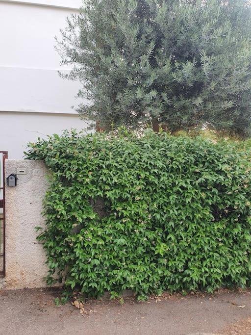 מונטאלטו די קסטרו Ccc Holiday Properties Le Vele Ccc מראה חיצוני תמונה